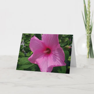 Carte d'anniversaire vierge