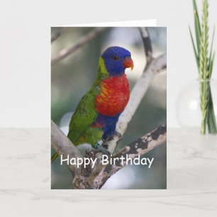 Carte d'anniversaire vierge de Lorikeet