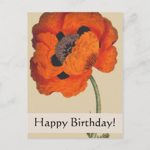 Carte d'anniversaire vintage Botaniques Poppy