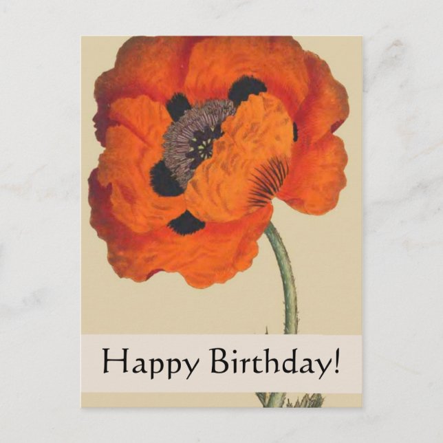 Carte d'anniversaire vintage Botaniques Poppy (Devant)