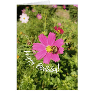 Carte d'anniversaire Vivid Rose Cosmos