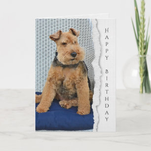 Carte d'anniversaire Welsh Terrier