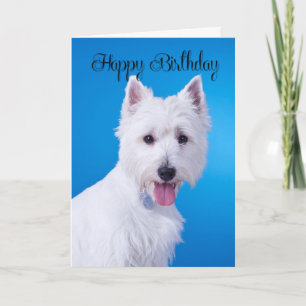 Carte d'anniversaire Westie