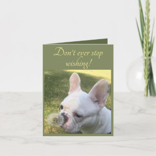 Carte d'anniversaire Wishing French Bulldog Dandel