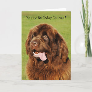 Carte d'anniversaire Yappy de Terre-Neuve