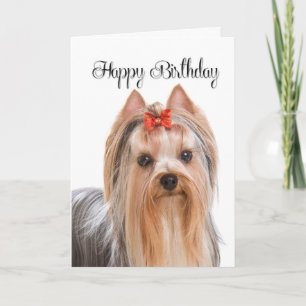 Carte d'anniversaire Yorkie