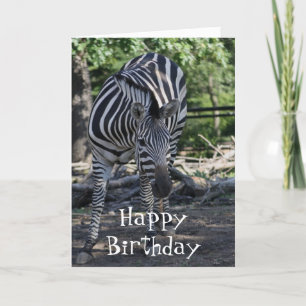 carte d'anniversaire zebra