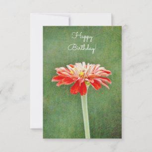 Carte d'anniversaire Zinnia Red Flower Artsy