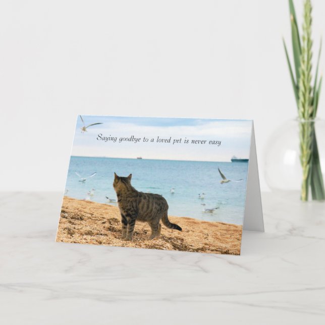 Carte Dans la sympathie pour la mort du chat (Devant)
