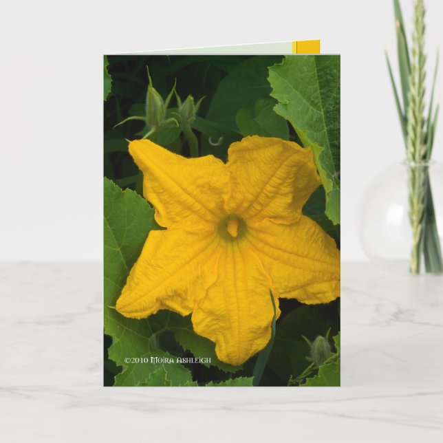 Carte Dans le jardin (Devant)