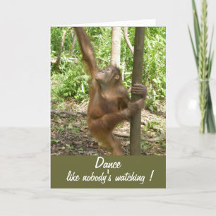 Carte Danse comme personne ne regarde Orangutan à Bornéo
