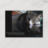 Reflétez les affaires ou les télécartes (de chat)