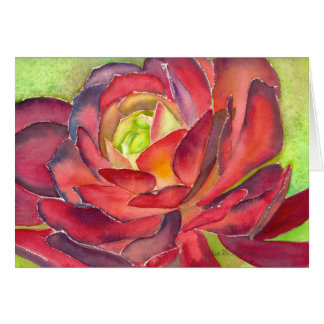 Carte d'aquarelle d'Aeonium par Debra Lee Baldwin