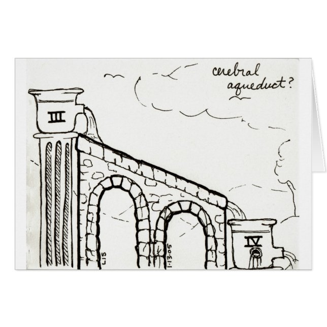 Carte d'aqueduc cérébral (Devant horizontal)