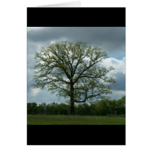 Carte d'arbre de ressort