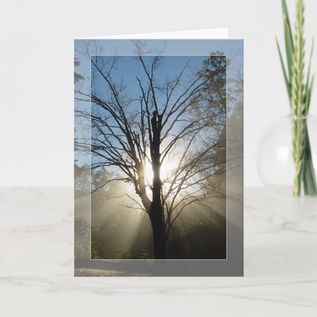 Carte d'arbre Epiphany (Devant)