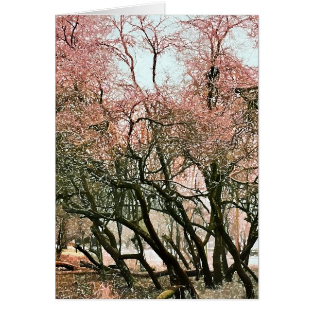 CARTE D'ARBRES (Devant)