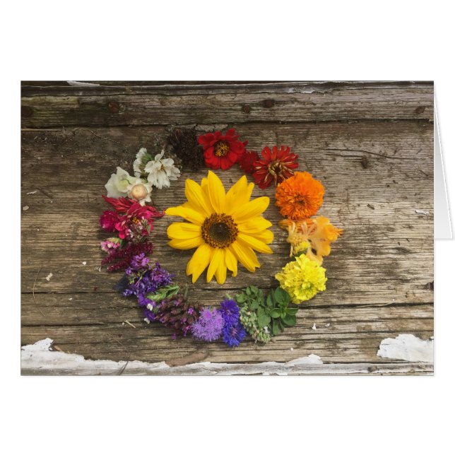 Carte d'arc-en-ciel de tournesol (Devant Horizontal)