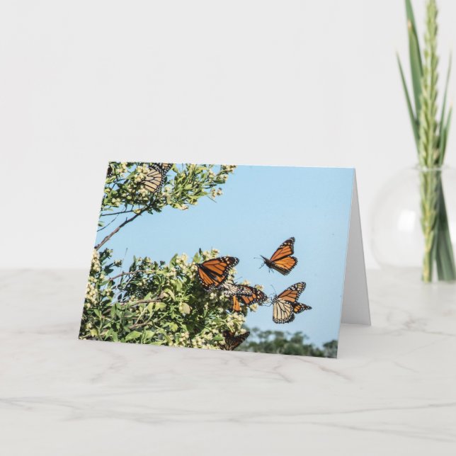 Carte d'argent (Devant)