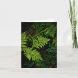 Carte Dark green moody nature theme with ferns