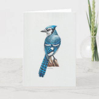 Carte d'art Blue Jay