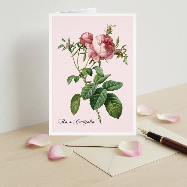 Carte d'art botanique rose (Créateur téléchargé)