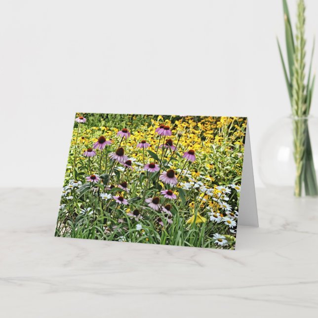 Carte d'art Conflowers et marguerites violets (Devant)