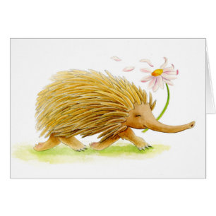 Carte d'art Echidna whimna animal watercolor