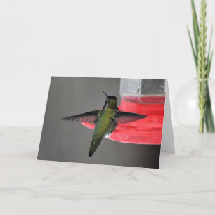 Carte d'art encadrable de colibri Anna
