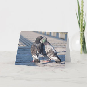 Carte d'art encadrable Kissing Pigeons