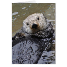 Carte d'art encadrée Sea Otter