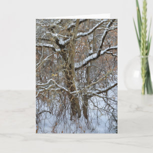 Carte d'art hivernal neige Arbres