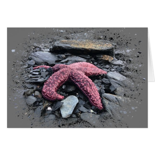 Carte d'art Starfish de 5 po x 7 po (Devant horizontal)