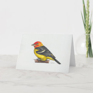 Carte d'art Western Tanager