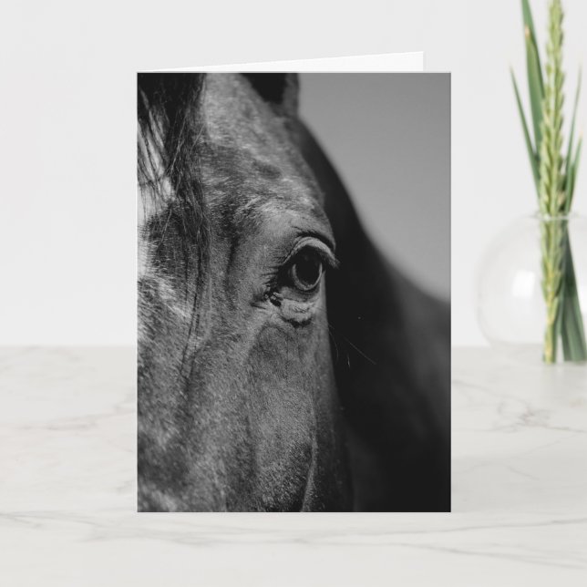 Carte d'artisanat noir et blanc Horse Eye (Devant)