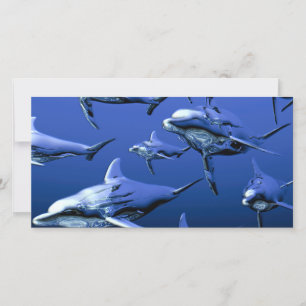 Carte Dauphin bleu