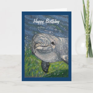 Carte Dauphin sous l'eau : Personne la plus froide que j