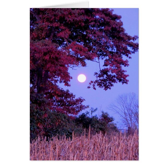 Carte d'automne avec pleine lune, chêne de bardeau (Devant)