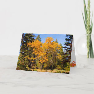 Carte d'automne et d'action de grâces