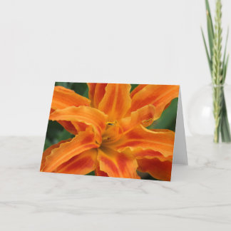 Carte Daylily