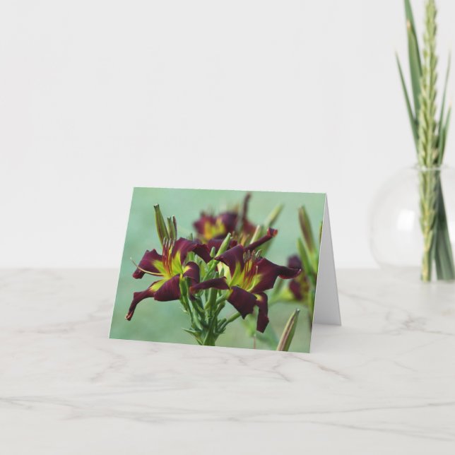 Carte Daylily Note (Devant)