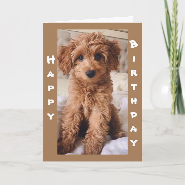 CARTE *DE 1 AMOUREUX DES CHIENS À UN AUTRE JOUR D'ANNIVE (Devant)