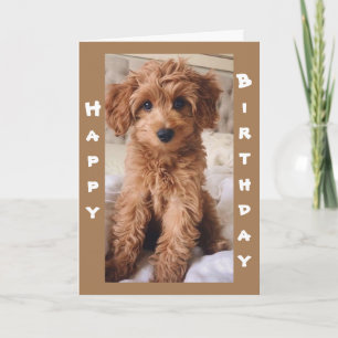 CARTE *DE 1 AMOUREUX DES CHIENS À UN AUTRE JOUR D'ANNIVE