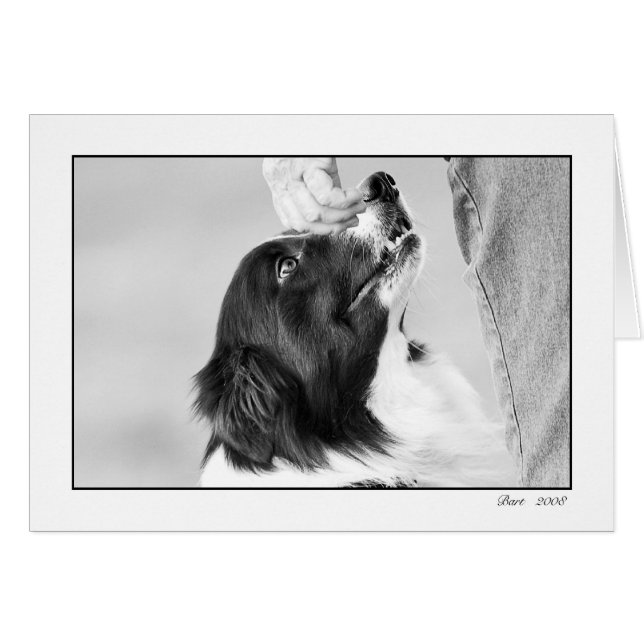 carte de baronet (Devant Horizontal)