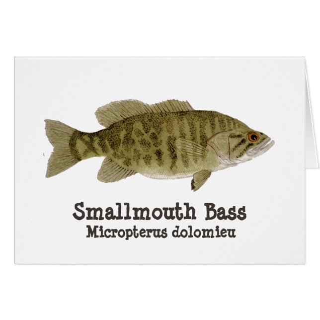 Carte de basse de Smallmouth (Devant horizontal)