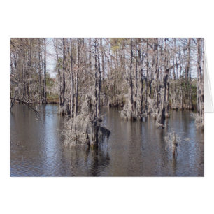 Carte de bayou de la Louisiane