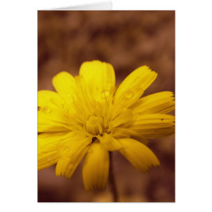 Carte de beauté naturelle