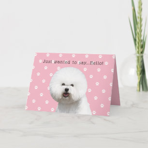 Carte de Bichon Frise