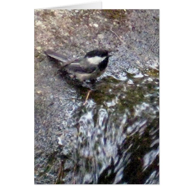 Carte de billet (Devant)