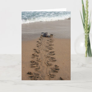 Carte de billet Hawksbill Turtle Trek